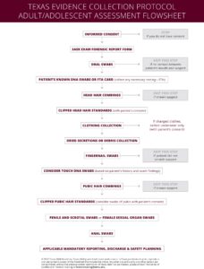 thumbnail for adult/adolescent assessment flowsheet